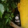 A Fritz-Kola bottle nestled amongst green leaves and branches against a vibrant yellow backdrop.